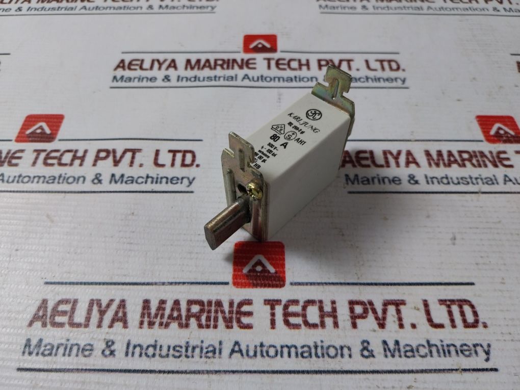 Karl Jung Iec 269-2 Gl Fuse 80a - Image 4