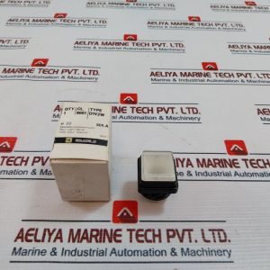 Square D D1v2w Pilot Light Bezel