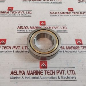 Stc Steyr Slk 182210 Bearing Cylindrical Roller