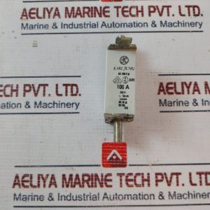 Karl Jung Iec 269-2 Gl Fuse 100a