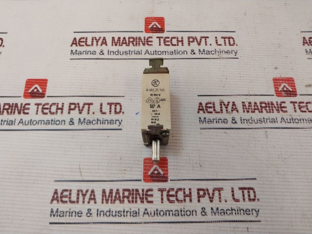 Karl Jung Iec 269-2 Gl Fuse 50a