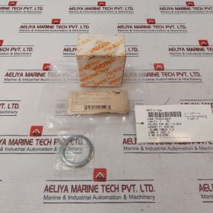 Valqua F300-20 Gasket F300-20 Globe