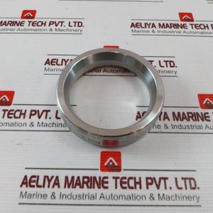 Rx24 Asme B16.20 Metal Seal Ring