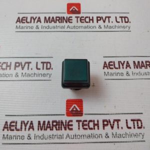 Square D D1v2g D1v2g Pilot Light Bezel