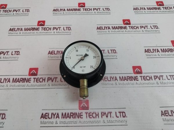 Nks 0-25 Kgfcm2 Pressure Gauge