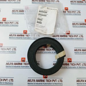 Cameron 2010196-48 Seal Ring Rev A02