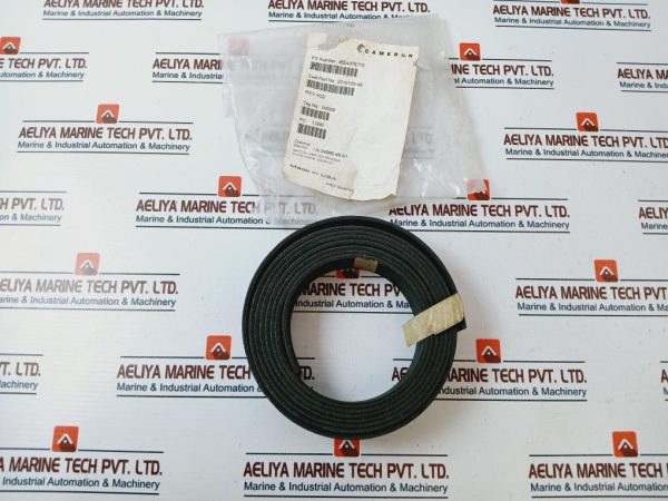 Cameron 2010196-48 Seal Ring Rev A02