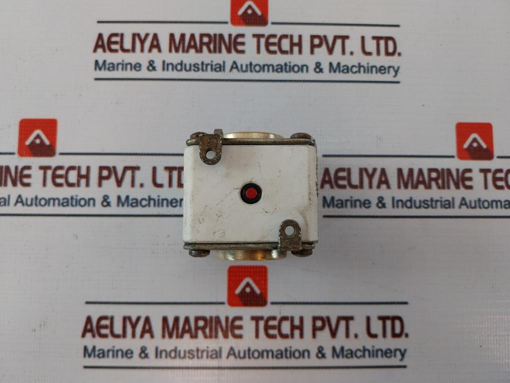 Ferraz Shawmut T300006 Protistor 690v - Image 4