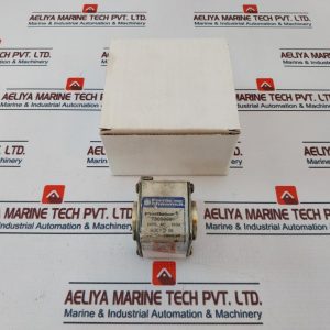 Ferraz Shawmut T300006 Protistor 690v