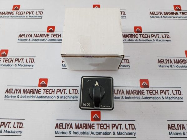 Yongsung C-60 Cam Switch 250v