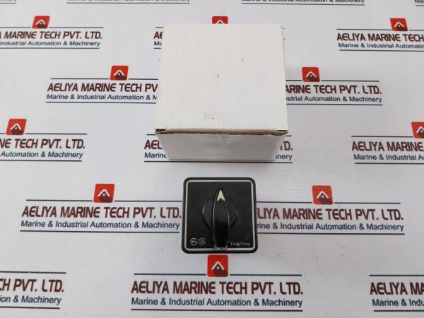 Yongsung C-60 Cam Switch Ac220v