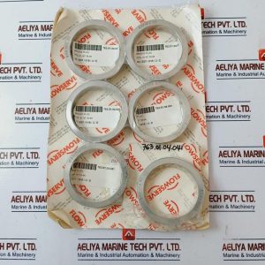 Flowserve 53711487 Briggs Plug