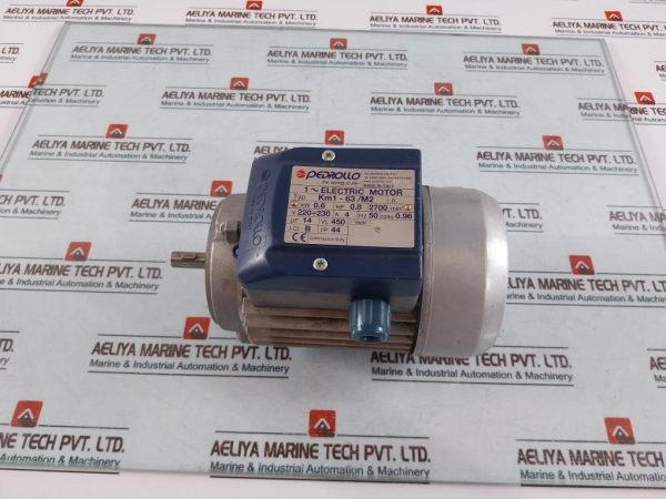 Pedrollo Km1-63m2 Electric Motor 450v