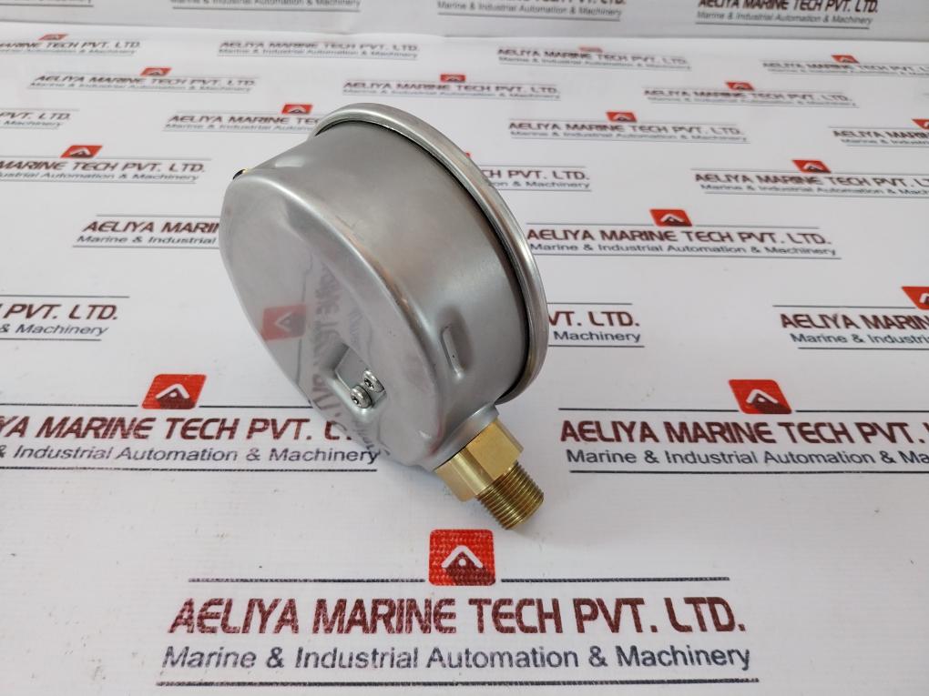 Wika 0-20 Bar Pressure Gauge - Image 3