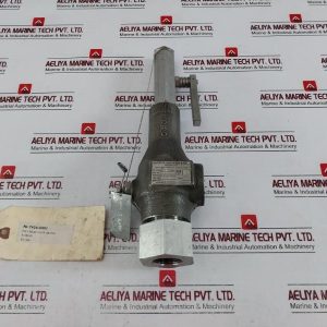 Anderson Greenwood 81s88 8l Safety Relief Valve 100 Psi