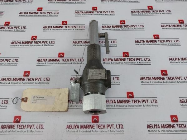 Anderson Greenwood 81s88 8l Safety Relief Valve 100 Psi