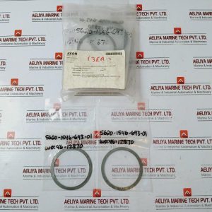 Axon 5620-1546-643-01 Seat Spring Gate Valve Spirolox Ring