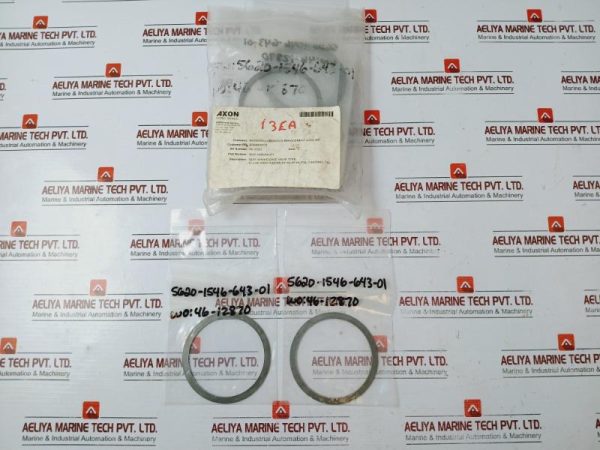 Axon 5620-1546-643-01 Seat Spring Gate Valve Spirolox Ring