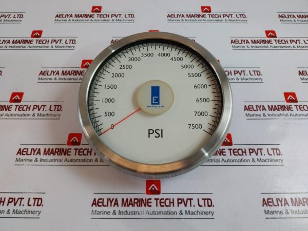 Electro-flow Controls M25X Analogue Gauge