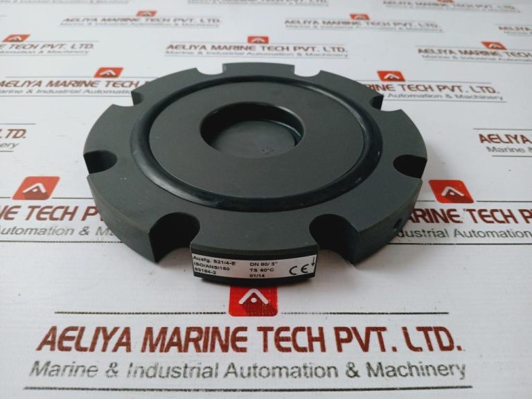 Georg Fischer Wafer Check Valve Aeliya Marine