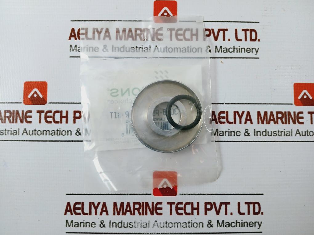 Symmons 300B-pl Flange And O-ring Repair Kit - Image 4