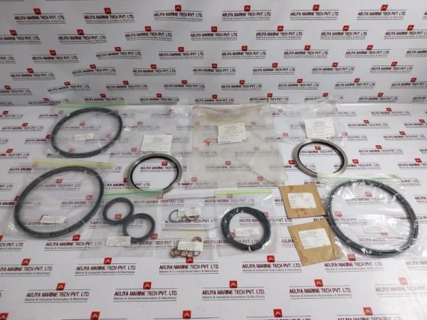 Truflo Rona Ms 35769-31 Actuator Repair Kit