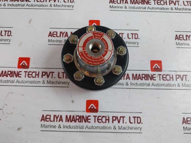 Ashcroft C1215 Stainless Steel Diaphragm Seal