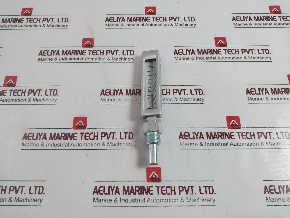 Dongsung 0-100 C Back Mount Thermometer