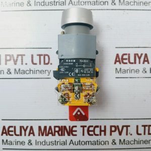 Eao 704.900.3 Push Button Switch 24v