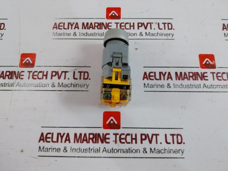 Eao 704.900.5 Push Button Switch 600v - Image 3