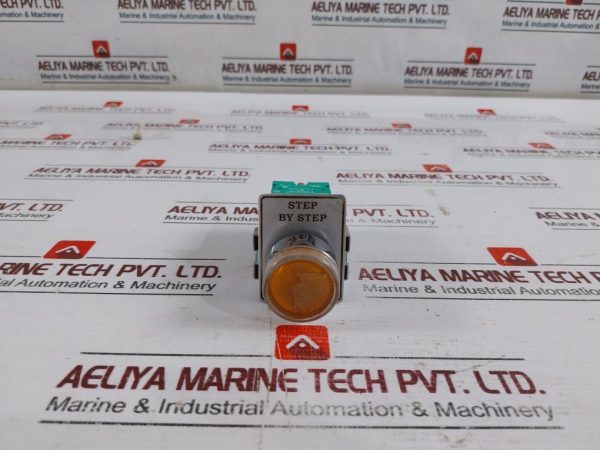 Teknic 2 Lhlr 24 Acdc Push Button Switch 500v