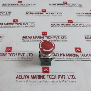 Teknic S1 Push Button 500v