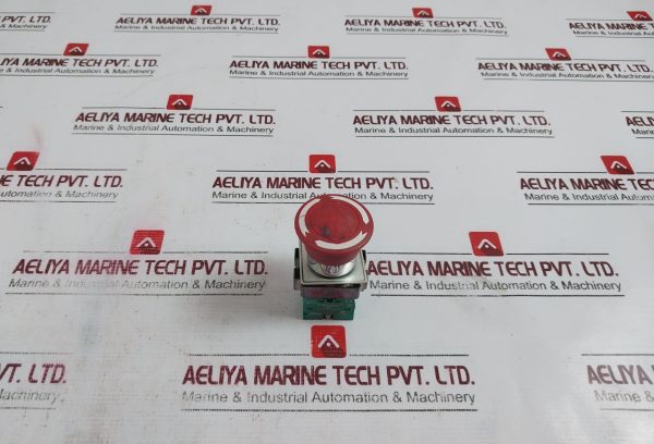 Teknic S1 Push Button 500v