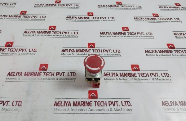 Teknic S2 Push Button 500v