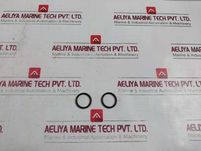 Schlumberger B013335 O-ring Oil Channel - Image 3