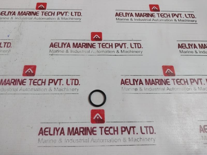 Schlumberger B013335 O-ring Oil Channel - Image 4