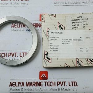 Wdi Bx154 Gasket Ring Ss316 3-16” Nom