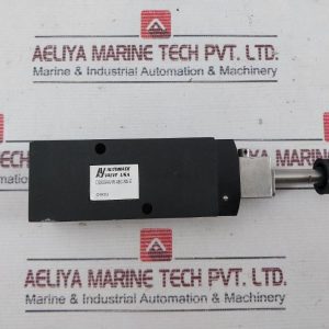 Automatic Valve D2003aawr-Abc-Ms-E Solenoid Valve