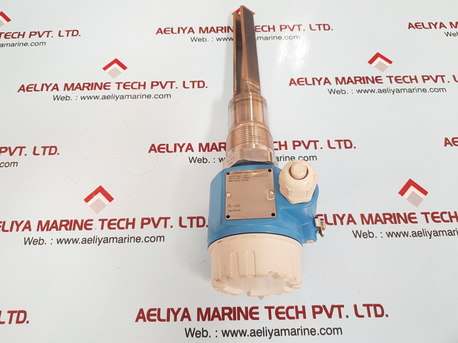 Endress+hauser ftm50-agg2a4a32aa soilphant level switch