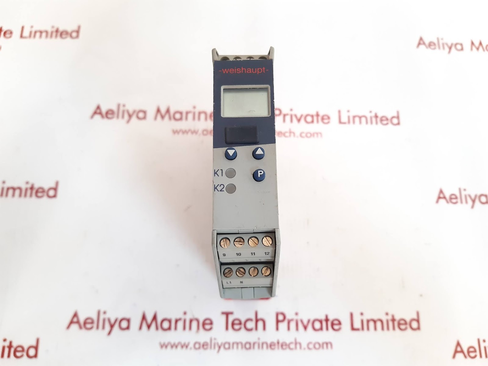 WEISHAUPT ITRON DR100 PROGRAMMABLE 702060/299-999-000-23