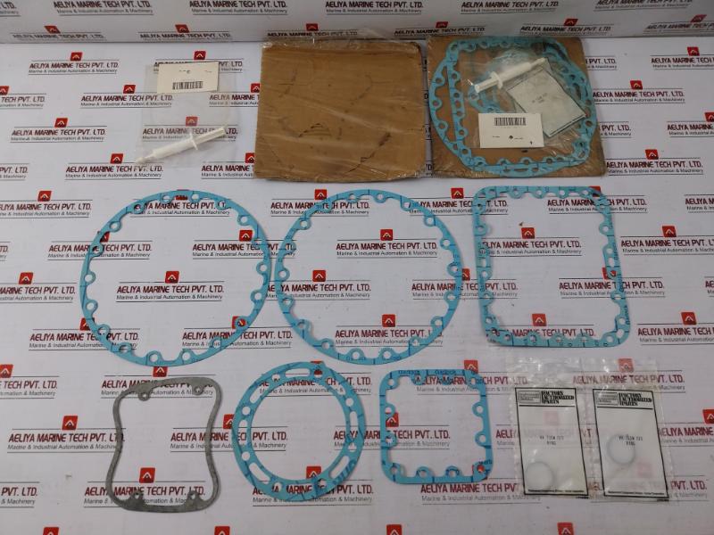 Carrier 38aq 680 001 Plate Spring TopBottom Airhead ValveGasket Kit