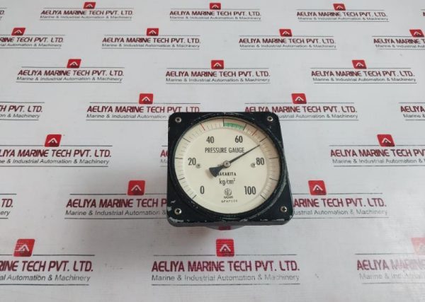 Nks 0-100 KgCm2 Pressure Gauge