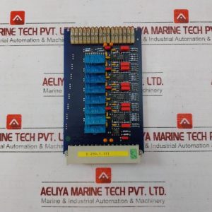 Stein Sohn E290.1 (1) Electronic Card E290.1