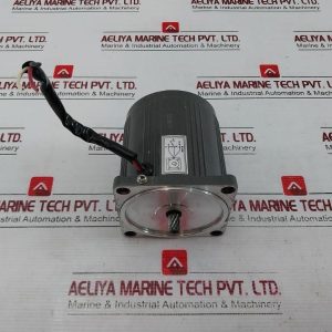 Vtv Motor Yn80-25 Precision Gear Motor 220v