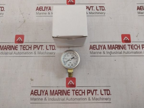 Nks 0-1 Mpa Pressure Gauge