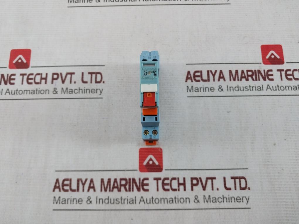 Releco C12-A21x Safety Relay 250v
