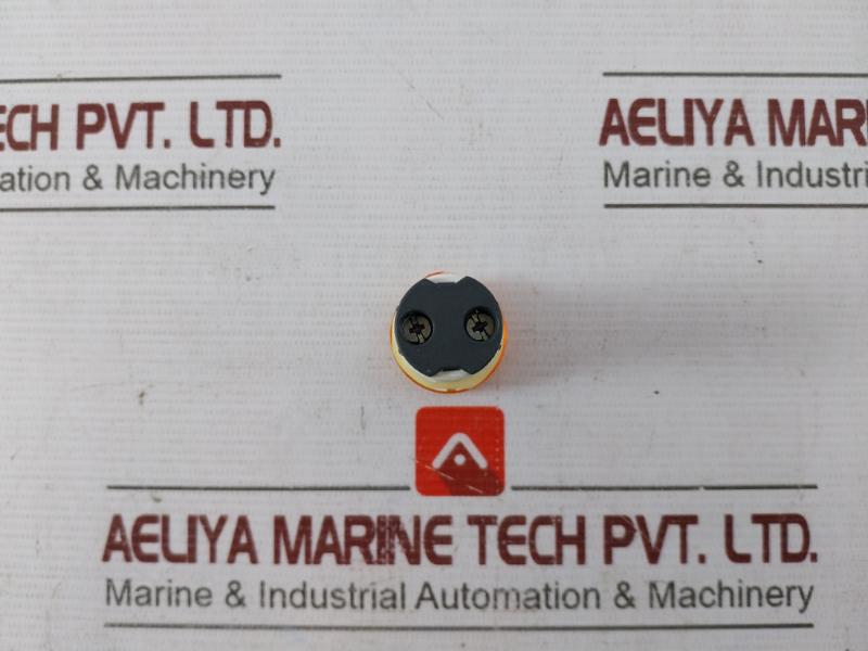 Schneider Electric Xb7ev08bpn Pilot Light 24v - Image 4