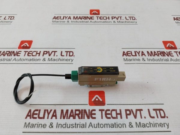 Takenaka F1rh-J Plc Module 24v