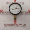 Woojin 0 To 1000 KgfCm2 Pressure Gauge