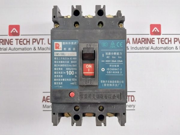 Changshu Cm1-100l3300 Plastic Shell Type Circuit Breaker 800v